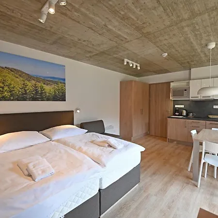 Vetrnik Depandance Jirinka 3* Dolni Morava