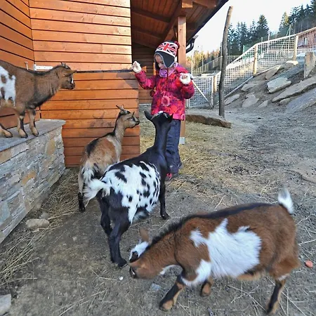 Πανσιόν Vetrnik Depandance Jirinka 3*