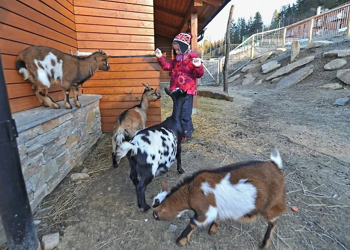 Gasthof Vetrnik Depandance Jirinka 3*
